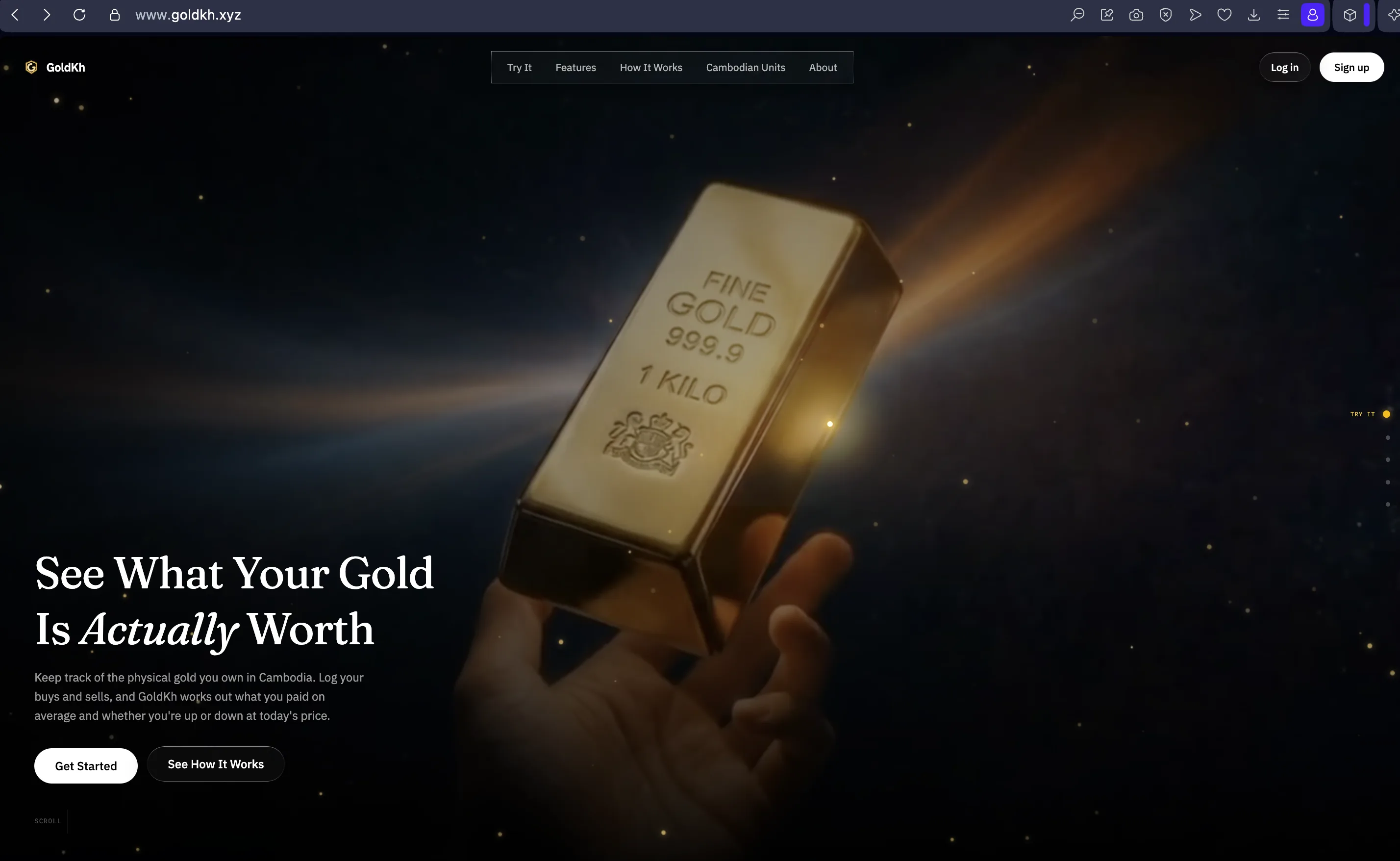 GoldKh project screenshot
